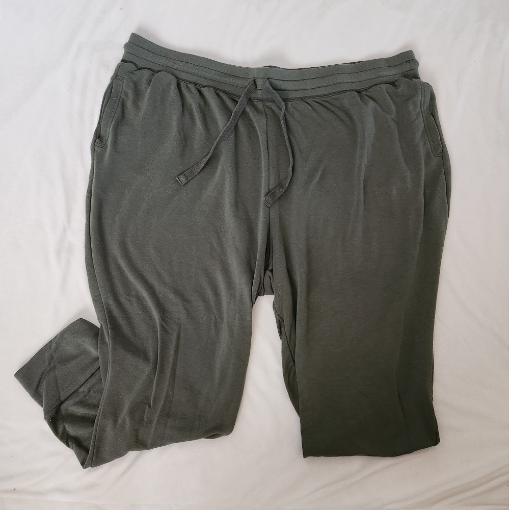 Fabletics joggers 4X